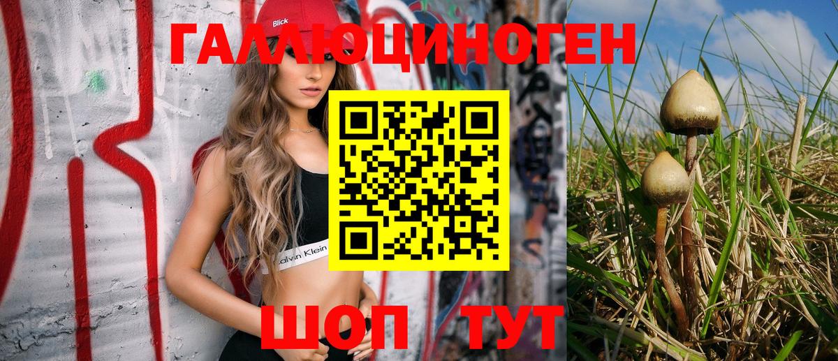 Галлюциногенные грибы Psilocybe Каменск-Уральский